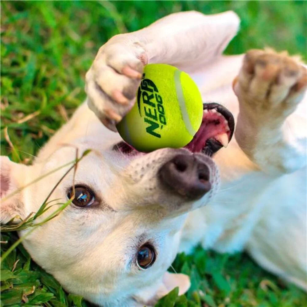 Nerf Dog 2.5-inch Squeak Tennis Ball Dog Toy 3-Pack